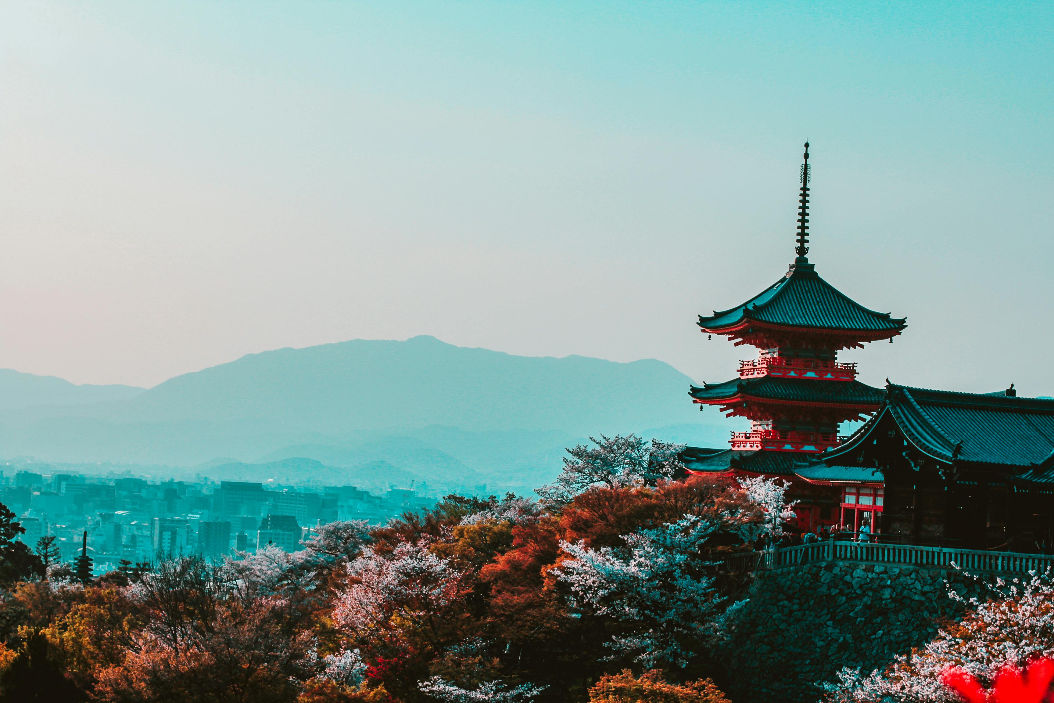 Study in Japan with WI Education Consultancy